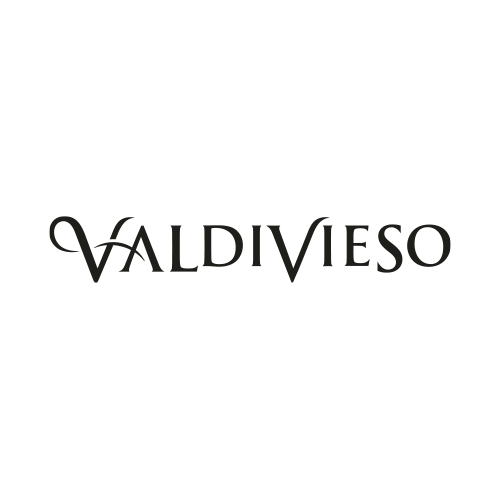 Grupo Valdivieso
