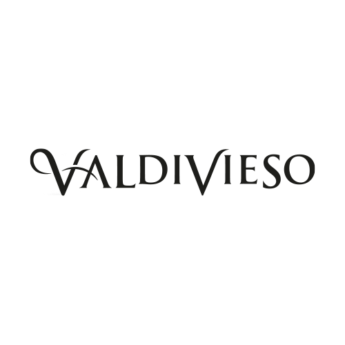 Grupo Valdivieso
